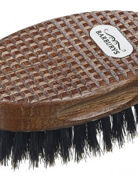 RAY PALM BRUSH BARBURYS